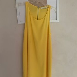 Alice+Olivia Yellow Mini Dress